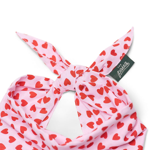 The Paws Bandana, Little Lovesong Hundehalstücher
