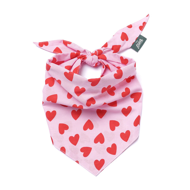 The Paws Bandana, Lovesong Hundehalstücher