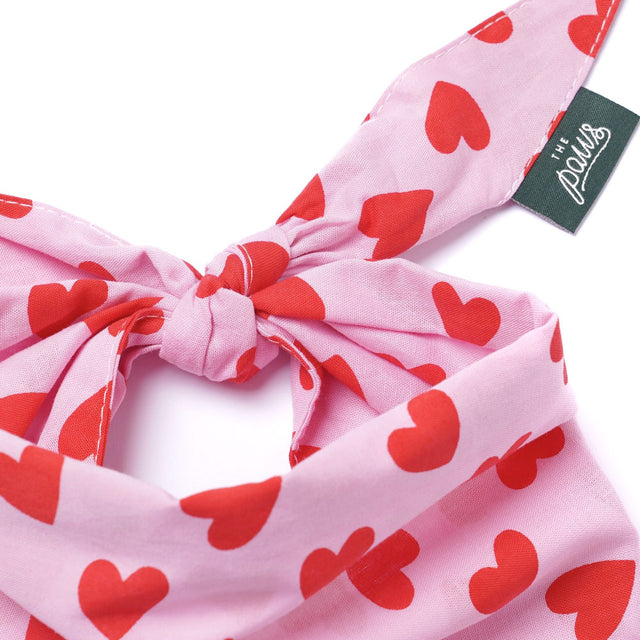 The Paws Bandana, Lovesong Hundehalstücher
