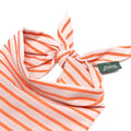 The Paws Bandana, Palm Beach Hundehalstücher