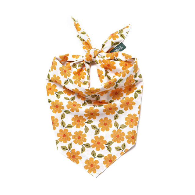 The Paws Bandana, Ringelblumen Hundehalstücher