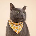 The Paws Bandana, Ringelblumen Hundehalstücher