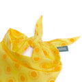 The Paws Bandana, Sol Hundehalstücher