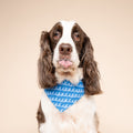 The Paws Bandana, Surf's Up Hundehalstücher