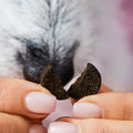 Tierliebhaber Analdrüsen Drops Funktionssnack