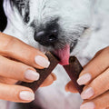 Tierliebhaber Chillout Sticks Funktionssnack