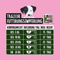 Tierliebhaber Prä & Probio Kur Nahrungsergänzung