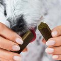 Tierliebhaber Zahnfee Sticks Zahnpflege