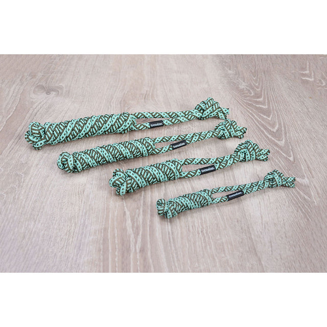 Treusinn Hundespielzeug Spiely, Ocean Tauspielzeug