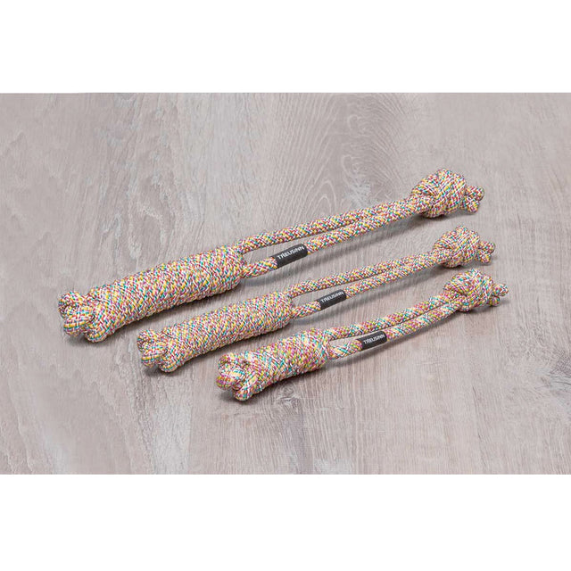 Treusinn Hundespielzeug Spiely, Rainbow Tauspielzeug