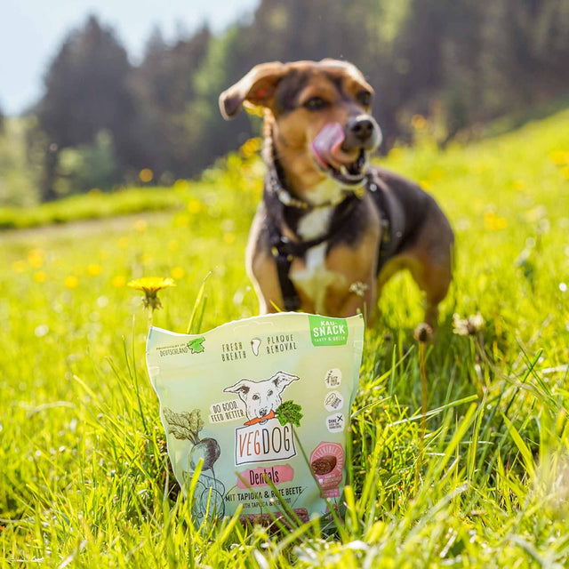 Hundesnack Vegan | Dentals Small