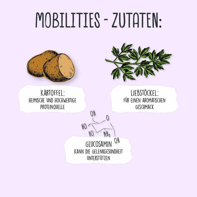 Hundesnack Vegan | Mobilities