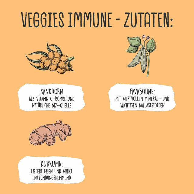 Hundeleckerli Vegan | Veggies Immune