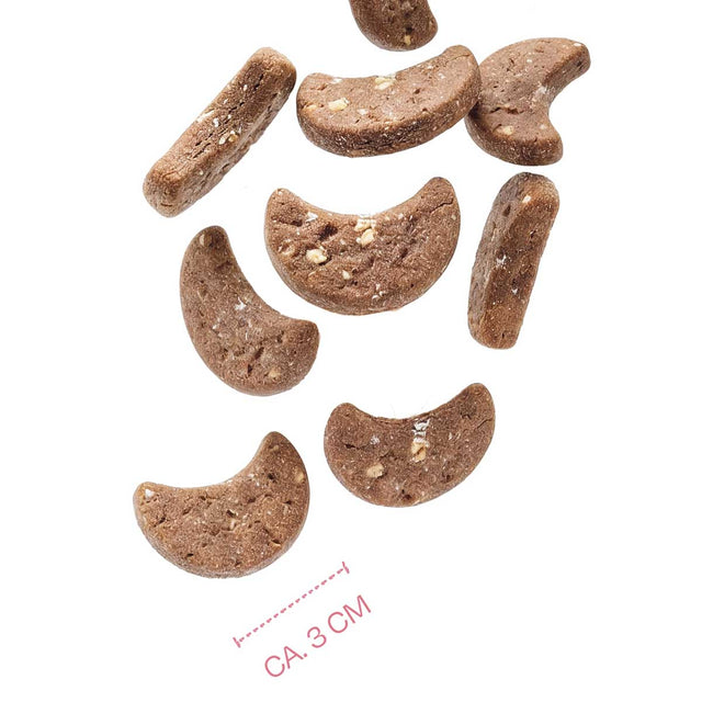 Hundekekse Winter Cookies