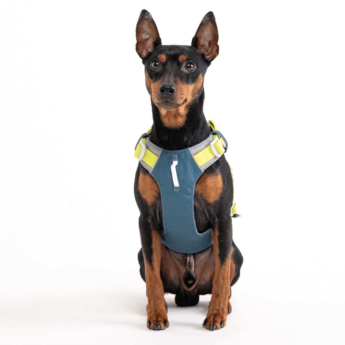 Wolfone No Pull Hundegeschirr – Weich Gepolstert, Mit Kontrollgriff