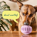 WOOF Pupsicle Grün Interaktiv