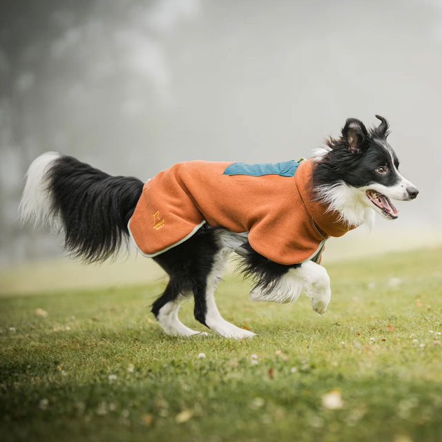 Woolly Wolf Fleece-Pullover Alpha 360, Terracotta-Mix Hundepullover