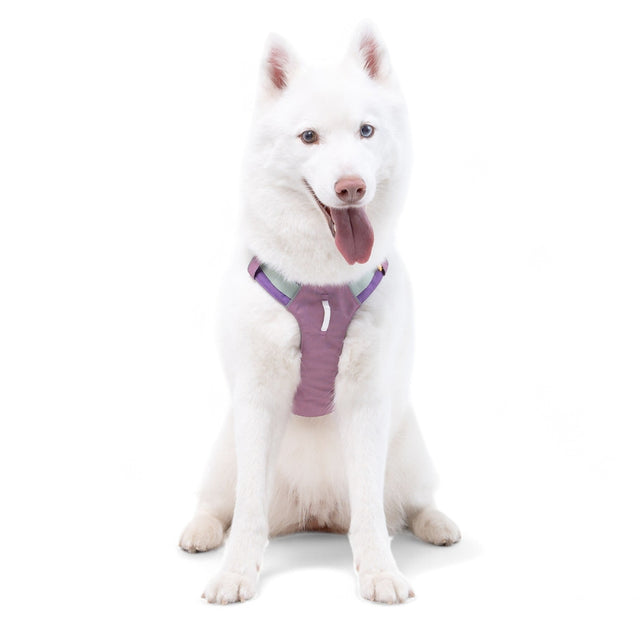 Woolly Wolf Hundegeschirr Alpha 360, Mauve Mix Hundegeschirr