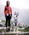 Woolly Wolf Hundegeschirr Alpha 360, Mauve Mix Hundegeschirr