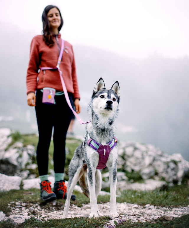 Woolly Wolf Hundegeschirr Alpha 360, Mauve Mix Hundegeschirr