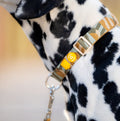Woolly Wolf Hundehalsband, Cloudbeam Hundehalsband