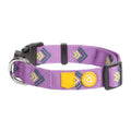 Woolly Wolf Hundehalsband, Northern Lights Hundehalsband