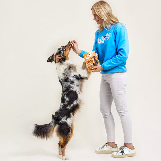 Wow Hundeleckerli Superfood Soft Cubes – Pferd mit Fenchel, 150g Hundeleckerli