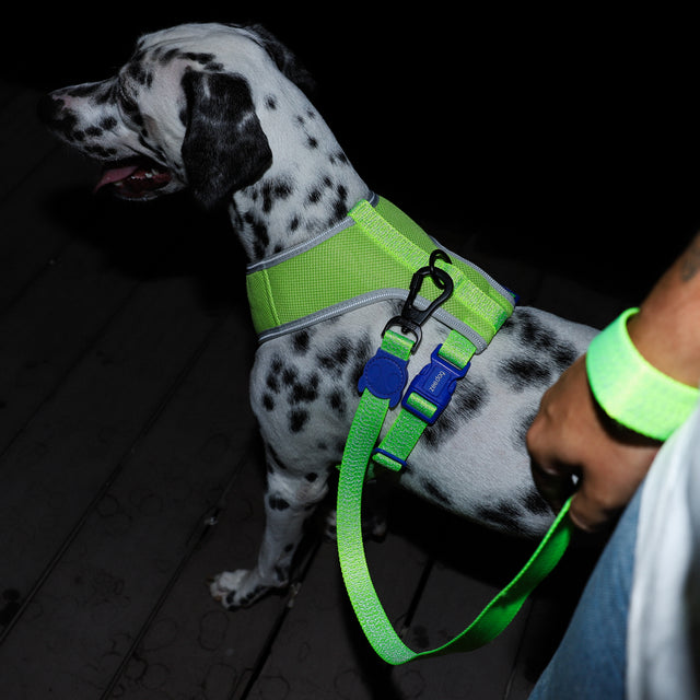 Hundegeschirr | Adjustable Air Mesh Harness, Nox Lumen