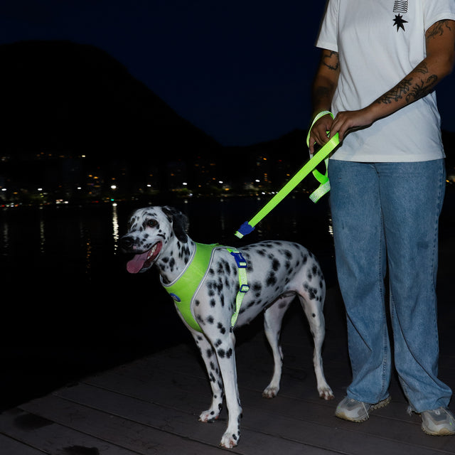 Hundegeschirr | Adjustable Air Mesh Harness, Nox Lumen