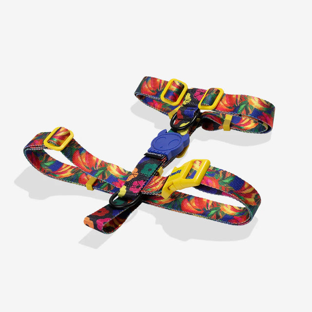 Zee.Dog Hundegeschirr H-Harness, Samba Hundegeschirr