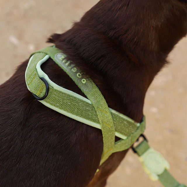 Hundegeschirr | Softer Walk Harness, Moss