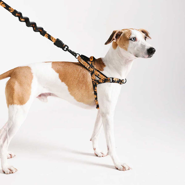 Zee.Dog Hundegeschirr Softer Walk Harness, Bossa Banana Hundegeschirr