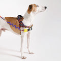 Zee.Dog Hundegeschirr Softer Walk Harness, Samba Hundegeschirr
