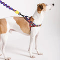 Zee.Dog Hundegeschirr Softer Walk Harness, Samba Hundegeschirr