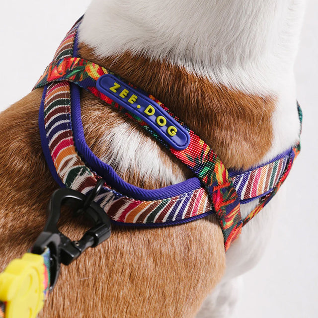 Zee.Dog Hundegeschirr Softer Walk Harness, Samba Hundegeschirr
