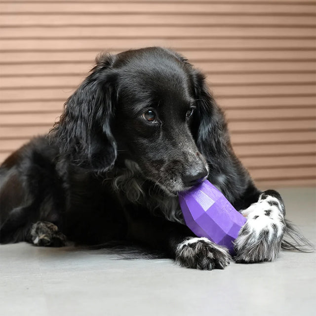 Zee.Dog Hundespielzeug Super Veggiez, Eggplant Interaktiv