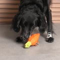 Zee.Dog Hundespielzeug Super Veggiez, Carrot Interaktiv
