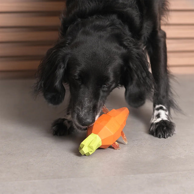 Zee.Dog Hundespielzeug Super Veggiez, Carrot Interaktiv