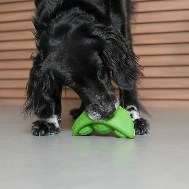 Zee.Dog Hundespielzeug Super Veggiez, Green Bean Interaktiv