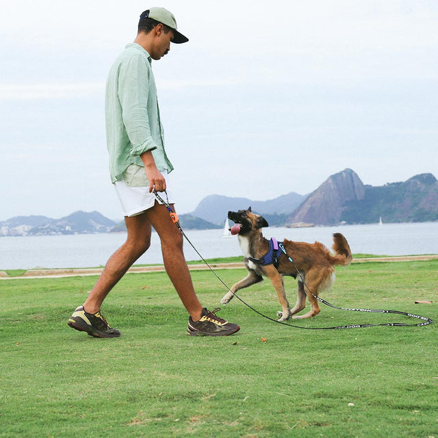 Hundeleine | Long Leash Primo Zee.Dog