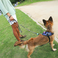 Hundeleine | Long Leash Primo Zee.Dog