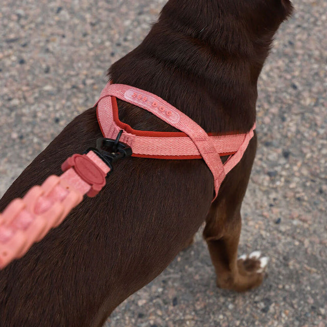 Hundegeschirr | Softer Walk Harness, Canyon