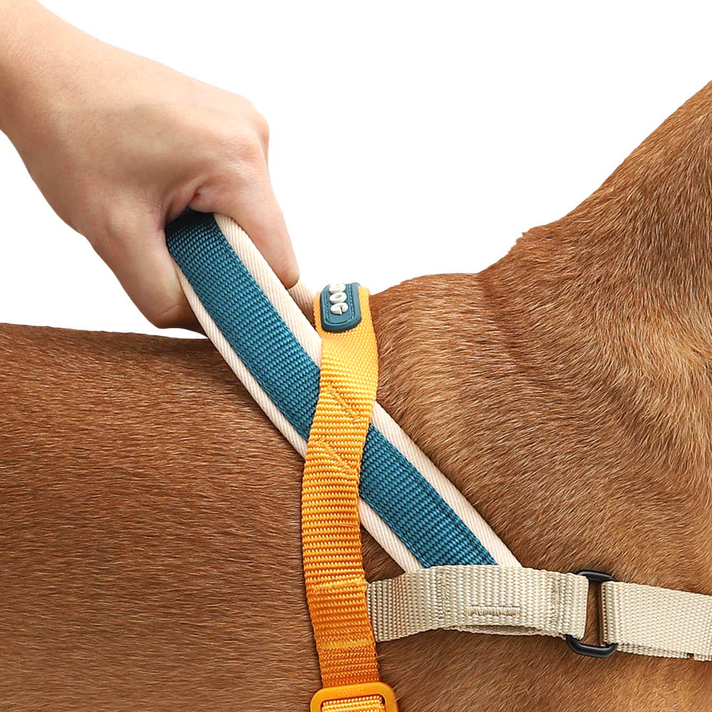 ShawnCo Dream Walk Hundegeschirr – Verstellbar, 2 Leinen-Clips, Ziehverhindernd, Bequem