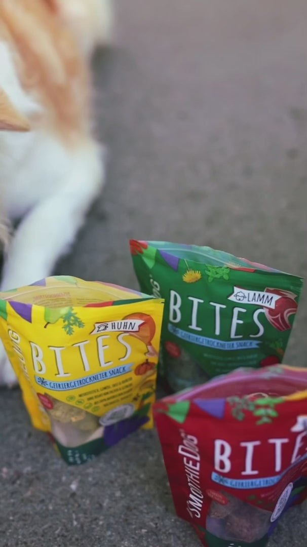 SmoothieDog Smoothie Bites, gefriergetrockneter Snack, Rind Fleischsnacks