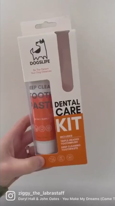 OurDogsLife Complete Dental Care Kit Zahnpflege für Hunde