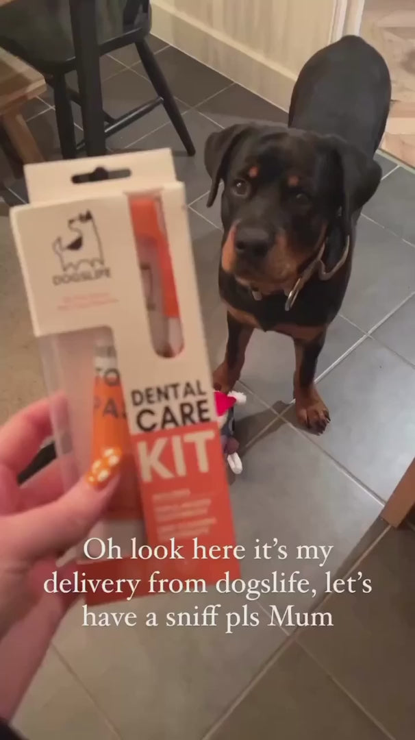 OurDogsLife Complete Dental Care Kit Zahnpflege für Hunde