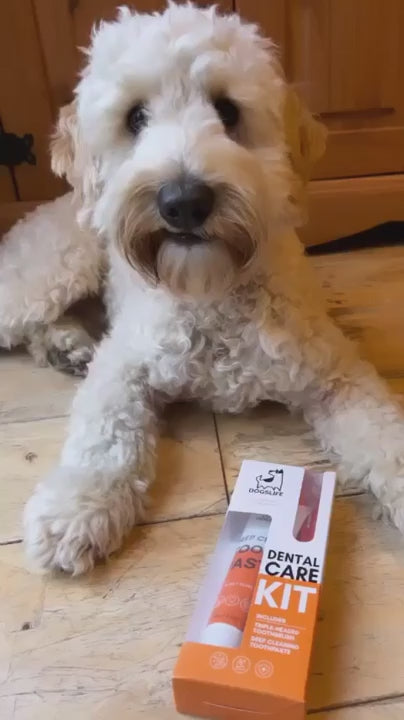 OurDogsLife Complete Dental Care Kit Zahnpflege für Hunde