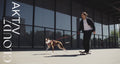 Cloud7 Hundegeschirr Y-3 AKTIV Softshell, Aubergine/Soft Rose Hundegeschirr