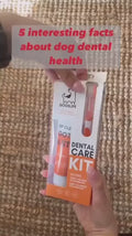 OurDogsLife Complete Dental Care Kit Zahnpflege für Hunde