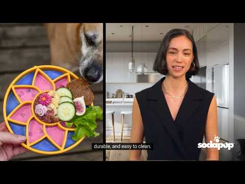 Sodapup Antischlingnapf | eTray Sunflower Interaktiv